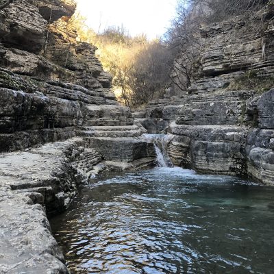 zagorochoria
