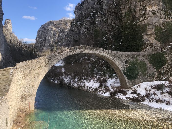 zagorochoria zagorochoria