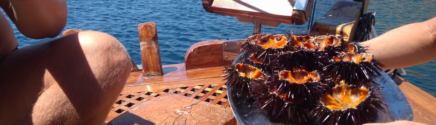 Hydra boat food sea urchin