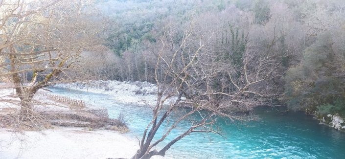 zagorochoria zagorochoria