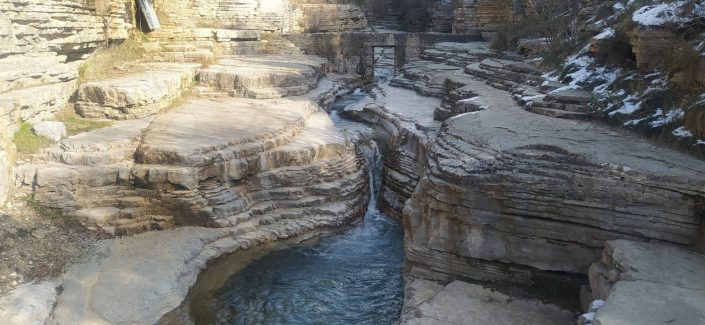 zagorochoria zagorochoria