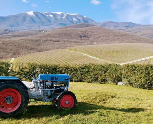 winery kyryianni winery kyryianni