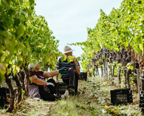 winery kyryianni winery kyryianni