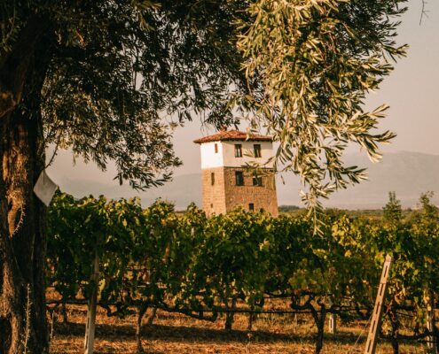 winery kyryianni winery kyryianni