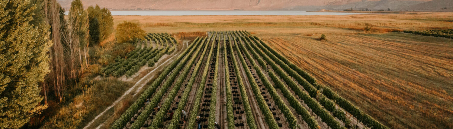 winery kyryianni winery kyryianni