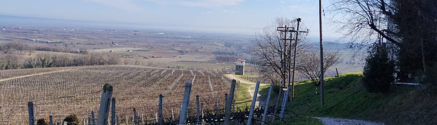 winery kyryianni winery kyryianni