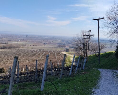 winery kyryianni winery kyryianni